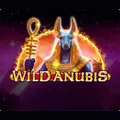 Wild Anubis