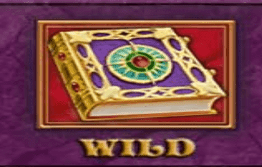 book of fortune слот wild символ