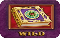 book of fortune слот wild символ
