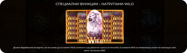 специална функция натрупани wilds на majestic king ротативка