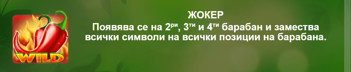 10 fruitata wins специален символ wild