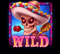 wild символ на senor muerto ротативка
