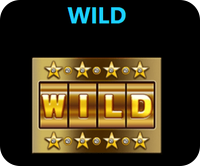 40 ultra respin wild символ