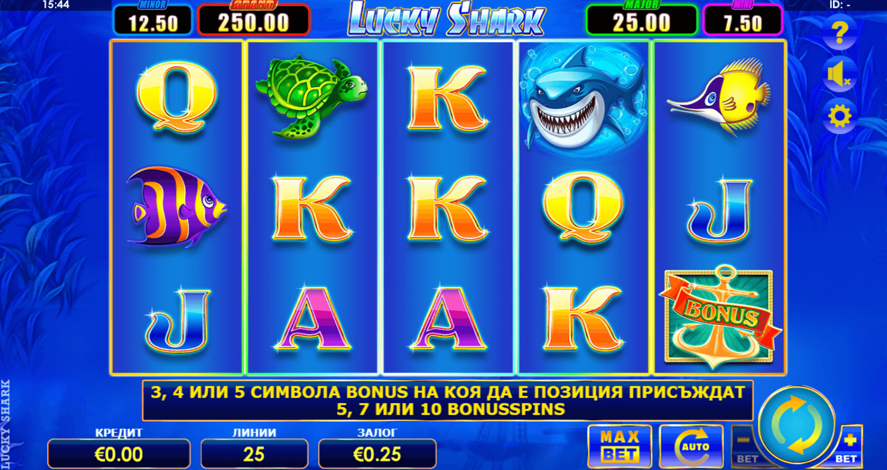 Lucky Shark дизайн